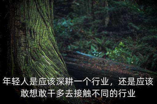 年輕人是應(yīng)該深耕一個行業(yè)，還是應(yīng)該敢想敢干多去接觸不同的行業(yè)