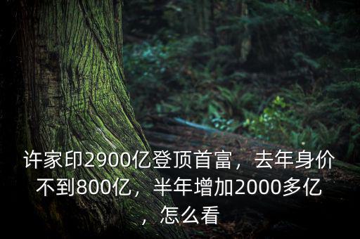 許家印2900億登頂首富，去年身價不到800億，半年增加2000多億，怎么看