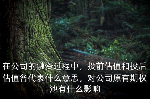 在公司的融資過程中，投前估值和投后估值各代表什么意思，對(duì)公司原有期權(quán)池有什么影響