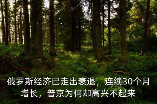 俄羅斯經(jīng)濟(jì)已走出衰退，連續(xù)30個(gè)月增長，普京為何卻高興不起來