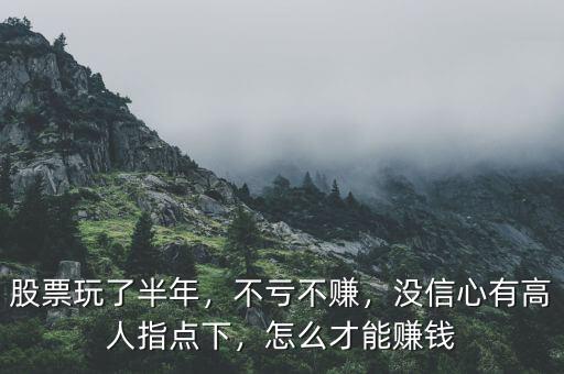 股票玩了半年，不虧不賺，沒信心有高人指點下，怎么才能賺錢