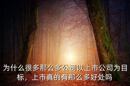 為什么很多那么多公司以上市公司為目標(biāo)，上市真的有那么多好處嗎