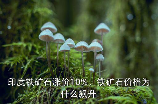 印度鐵礦石漲價10%，鐵礦石價格為什么飆升