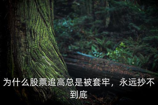 為什么股票追高總是被套牢，永遠抄不到底