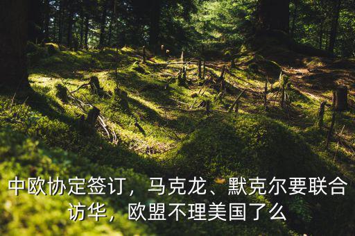 中歐協(xié)定簽訂，馬克龍、默克爾要聯(lián)合訪華，歐盟不理美國了么