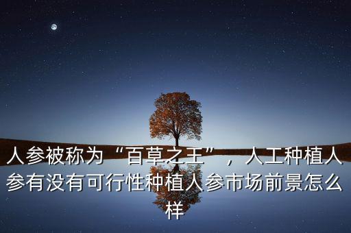 人參被稱為“百草之王”，人工種植人參有沒有可行性種植人參市場前景怎么樣