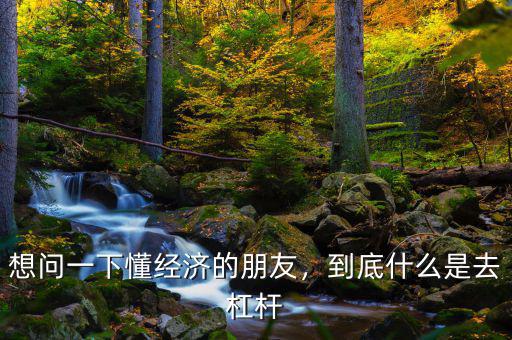 想問一下懂經(jīng)濟(jì)的朋友，到底什么是去杠桿