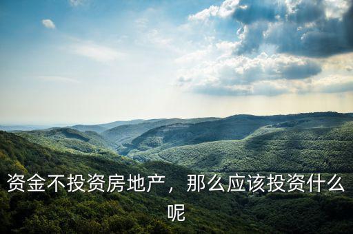 資金不投資房地產(chǎn)，那么應(yīng)該投資什么呢