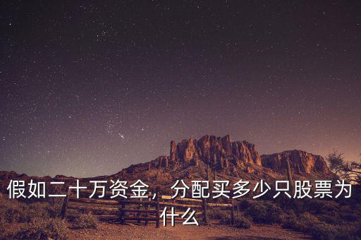假如二十萬資金，分配買多少只股票為什么