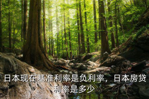 日本現(xiàn)在基準(zhǔn)利率是負(fù)利率，日本房貸利率是多少