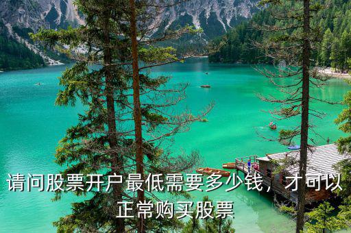 請問股票開戶最低需要多少錢，才可以正常購買股票