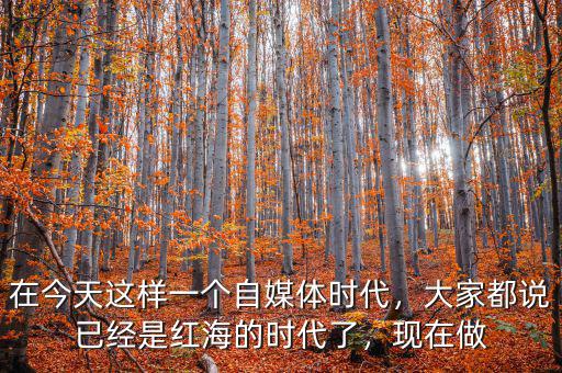 在今天這樣一個自媒體時代，大家都說已經(jīng)是紅海的時代了，現(xiàn)在做