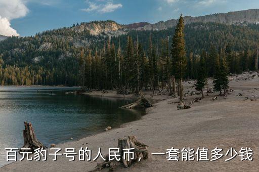 百元豹子號(hào)的人民幣，一套能值多少錢