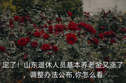 定了！山東退休人員基本養(yǎng)老金又漲了，調(diào)整辦法公布,你怎么看