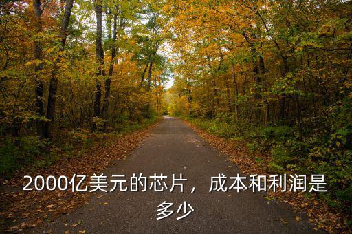 2000億美元的芯片，成本和利潤是多少