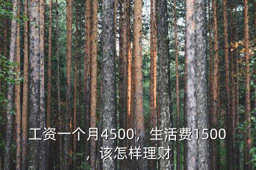 工資一個(gè)月4500，生活費(fèi)1500，該怎樣理財(cái)