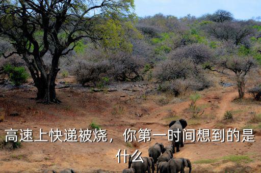 高速上快遞被燒，你第一時(shí)間想到的是什么