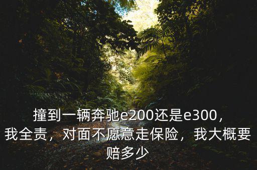 撞到一輛奔馳e200還是e300，我全責(zé)，對(duì)面不愿意走保險(xiǎn)，我大概要賠多少