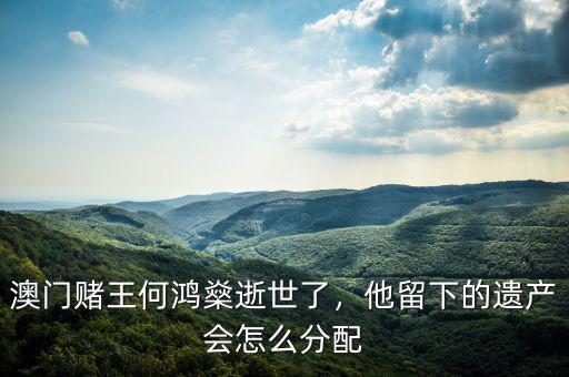 澳門賭王何鴻燊逝世了，他留下的遺產(chǎn)會(huì)怎么分配