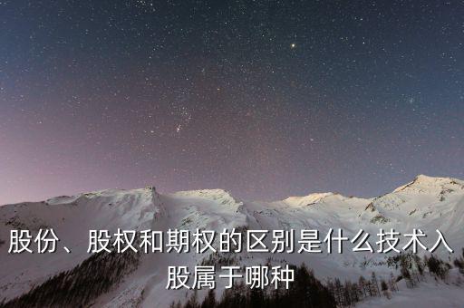 股份、股權(quán)和期權(quán)的區(qū)別是什么技術(shù)入股屬于哪種