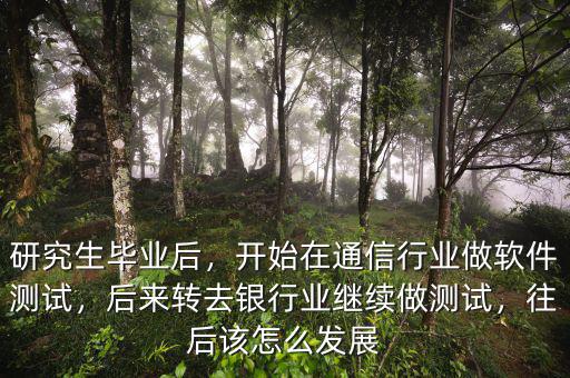 研究生畢業(yè)后，開始在通信行業(yè)做軟件測試，后來轉(zhuǎn)去銀行業(yè)繼續(xù)做測試，往后該怎么發(fā)展