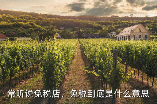 常聽(tīng)說(shuō)免稅店，免稅到底是什么意思