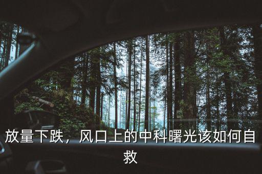 放量下跌，風口上的中科曙光該如何自救