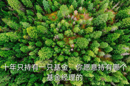 十年只持有一只基金，你愿意持有哪個基金經(jīng)理的
