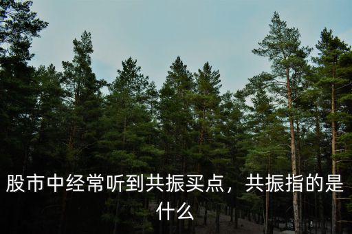股市中經(jīng)常聽到共振買點，共振指的是什么