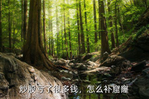 炒股虧了很多錢，怎么補(bǔ)窟窿