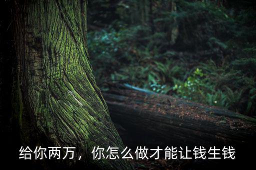 給你兩萬，你怎么做才能讓錢生錢