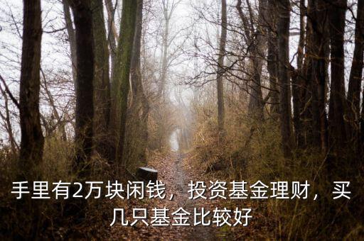手里有2萬塊閑錢，投資基金理財(cái)，買幾只基金比較好