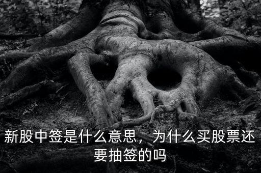 新股中簽是什么意思，為什么買股票還要抽簽的嗎