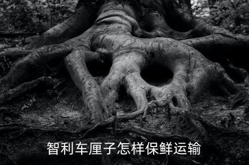 智利車?yán)遄釉鯓颖ｕr運輸