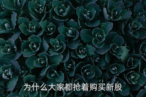 為什么急于發(fā)行新股,為什么大家都搶著購(gòu)買(mǎi)新股