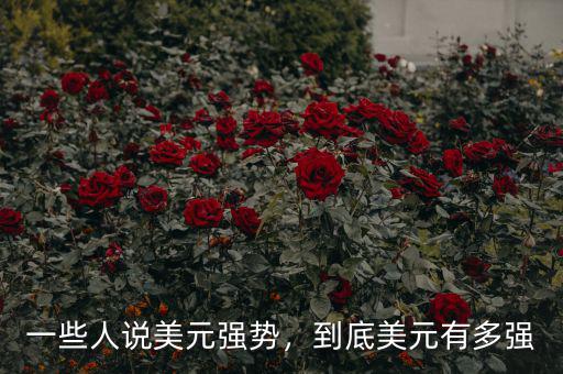 一些人說美元強(qiáng)勢，到底美元有多強(qiáng)