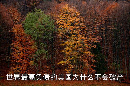 世界最高負(fù)債的美國為什么不會破產(chǎn)