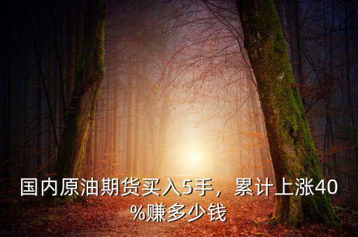 國內(nèi)原油期貨買入5手，累計上漲40%賺多少錢