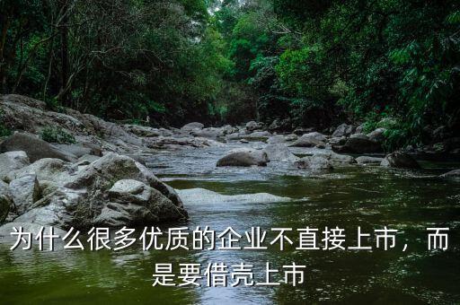 為什么很多優(yōu)質(zhì)的企業(yè)不直接上市，而是要借殼上市
