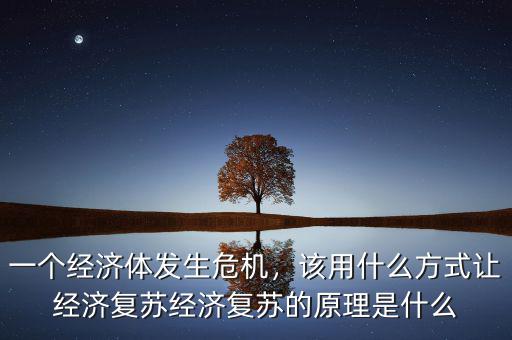 一個經(jīng)濟體發(fā)生危機，該用什么方式讓經(jīng)濟復蘇經(jīng)濟復蘇的原理是什么