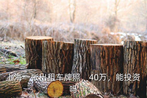 上海一張出租車牌照，40萬，能投資嗎
