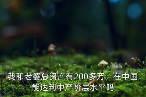 我和老婆總資產有200多萬，在中國能達到中產階層水平嗎