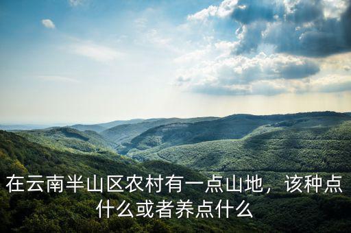 在云南半山區(qū)農(nóng)村有一點(diǎn)山地，該種點(diǎn)什么或者養(yǎng)點(diǎn)什么