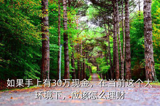 如果手上有30萬(wàn)現(xiàn)金，在當(dāng)前這個(gè)大環(huán)境下，應(yīng)該怎么理財(cái)