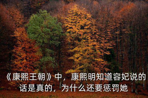《康熙王朝》中，康熙明知道容妃說的話是真的，為什么還要懲罰她