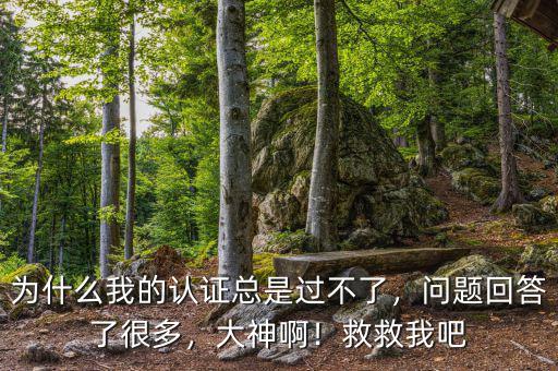 為什么我的認(rèn)證總是過(guò)不了，問(wèn)題回答了很多，大神??！救救我吧