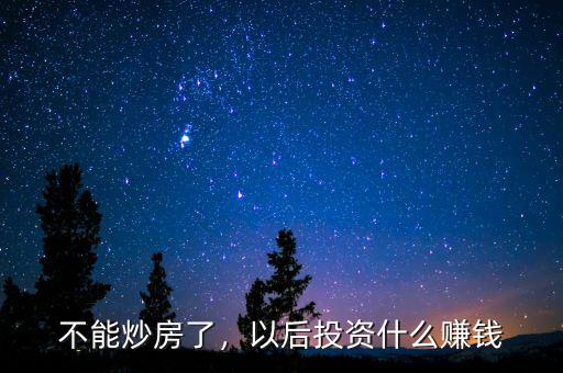 不能炒房了，以后投資什么賺錢