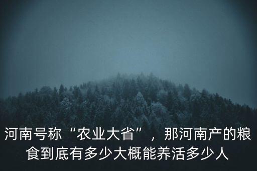 河南號(hào)稱“農(nóng)業(yè)大省”，那河南產(chǎn)的糧食到底有多少大概能養(yǎng)活多少人