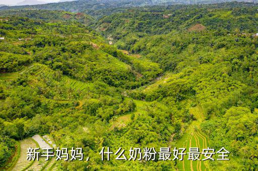 新手媽媽，什么奶粉最好最安全
