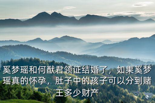 奚夢(mèng)瑤和何猷君領(lǐng)證結(jié)婚了，如果奚夢(mèng)瑤真的懷孕，肚子中的孩子可以分到賭王多少財(cái)產(chǎn)